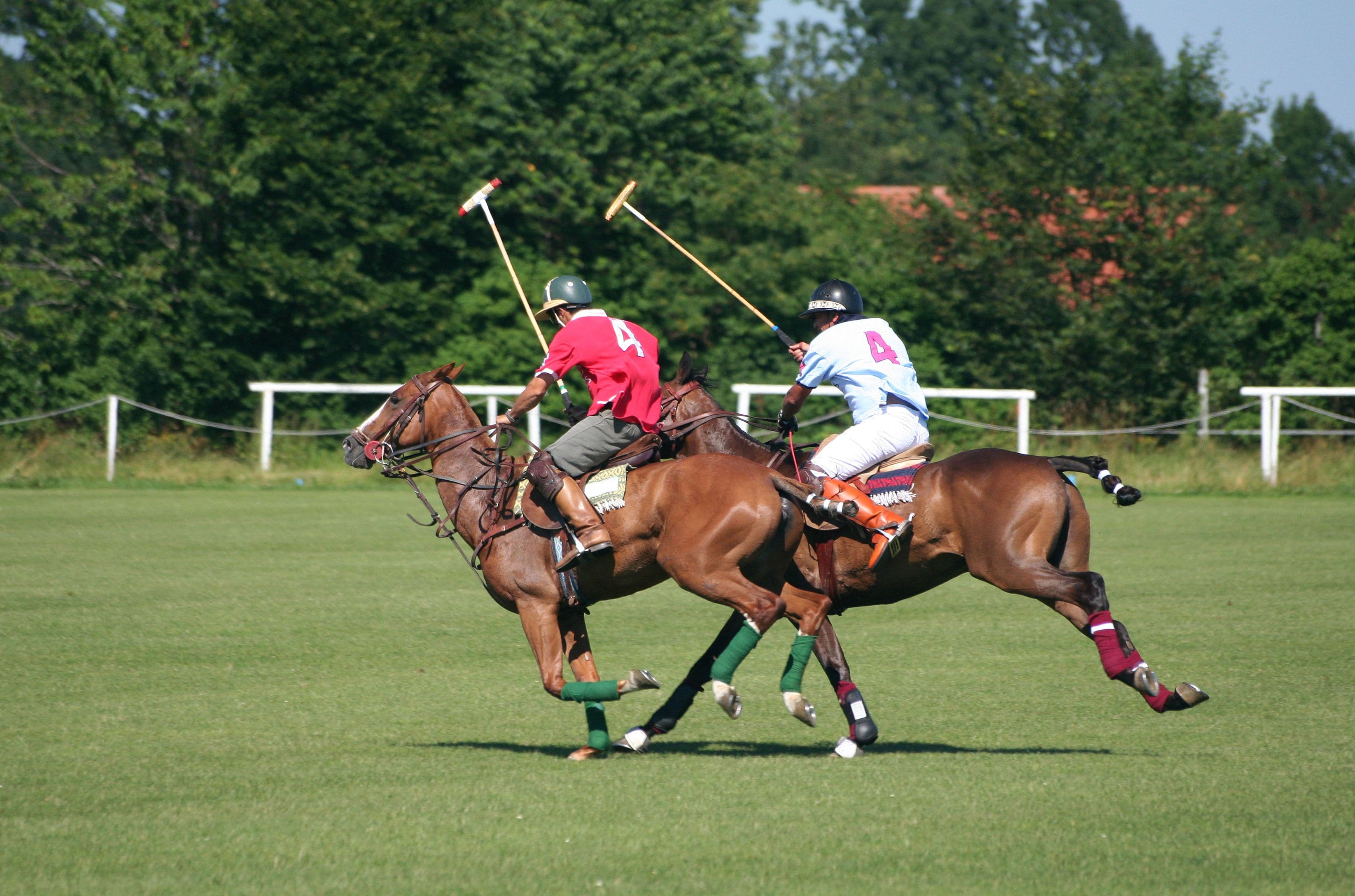 Polo in the Park, London
